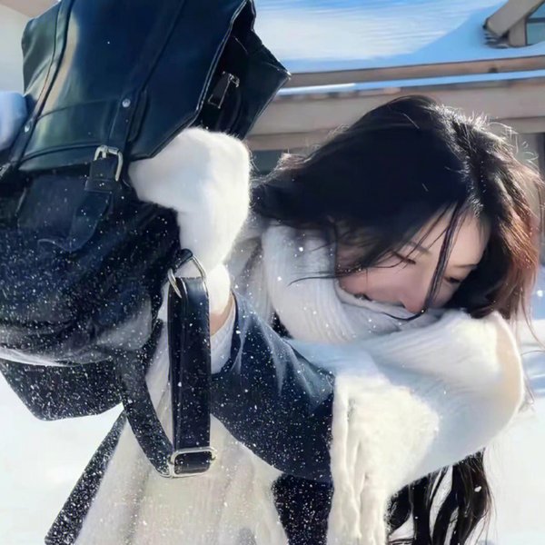 高卢英雄救公主