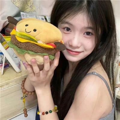狮子护卫队第二季